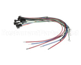 177599 Duke Harness,Fuses & Element Plugs