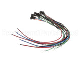 177599 Duke Harness,Fuses & Element Plugs