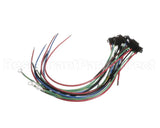 177599 Duke Harness,Fuses & Element Plugs