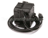 17929 Blakeslee Compound Pump