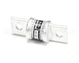 180042 Champion - Moyer Diebel Fuse T 100A 300V Fast Act