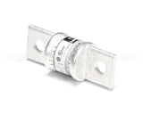 180042 Champion - Moyer Diebel Fuse T 100A 300V Fast Act