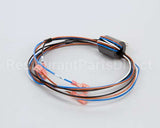 1804727 Garland Door Harness