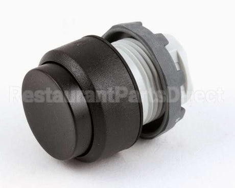 18295 Blodgett Switch, Pushbutton Momentary