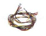 18351 Blodgett Harness,Wiring Inf/8Stpt 2Sp