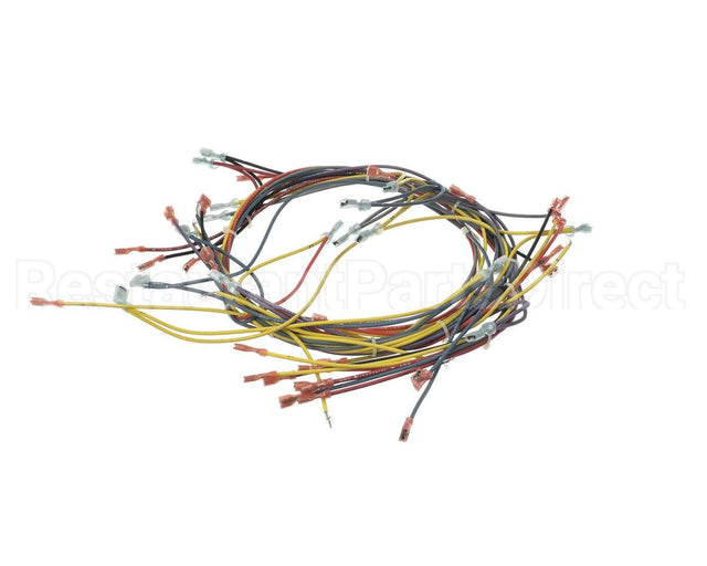 18355 Blodgett Harness, Wiring Inf/8 Stpt