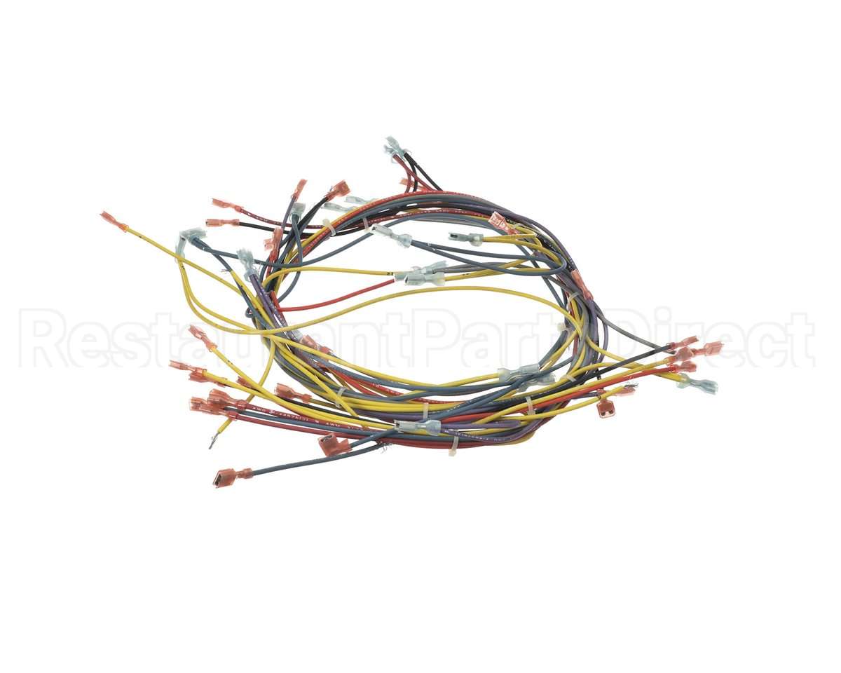18355 Blodgett Harness, Wiring Inf/8 Stpt