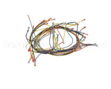 18355 Blodgett Harness, Wiring Inf/8 Stpt