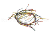18355 Blodgett Harness, Wiring Inf/8 Stpt