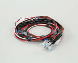 1859801 Garland Relay Wire Harness-Std
