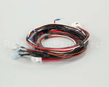 1859801 Garland Relay Wire Harness-Std