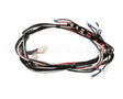1859806 Garland Relay Harness-Export