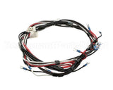 1859806 Garland Relay Harness-Export