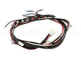 1859806 Garland Relay Harness-Export