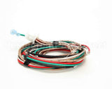1859807 Garland Platen Wire Harness-Std