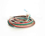 1859807 Garland Platen Wire Harness-Std