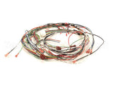 1859817 Garland Control Harness
