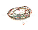 1859817 Garland Control Harness