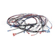 1859854 Garland Ignition Harness