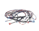 1859854 Garland Ignition Harness