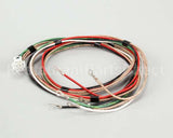 1859855 Garland Platen Harness