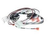 1859861 Garland 120 Volt Harness
