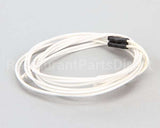 18600-0079 Carter Hoffmann Hi-Limit 248F 42"Leads