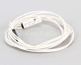 18600-0079 Carter Hoffmann Hi-Limit 248F 42"Leads