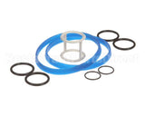 188505 Saniserv Kit:o-Rings/Gaskets/Seals