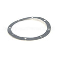 19-4204-100 Compatible Adamation Gasket, Inspection Plate 3Hp