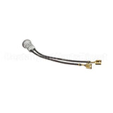 1906721 Tomlinson Pilot Light