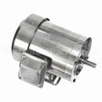 191949 Leeson Motor