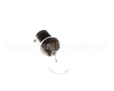 1923263 Tomlinson Bulb