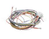 19303 Blodgett Harness, Wiring Inf/8/3/1 Stpt