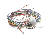 19303 Blodgett Harness, Wiring Inf/8/3/1 Stpt