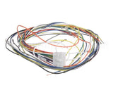 19306 Blodgett Harness, Wiring Control Comp
