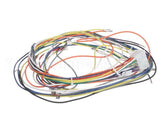 19306 Blodgett Harness, Wiring Control Comp