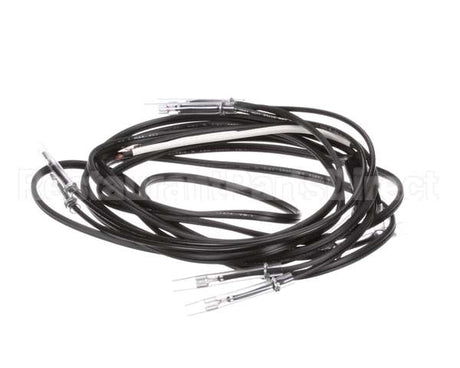 19S787 Hussmann Harness, Wire As Heater, Isf