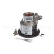 20003449 Compatible Multiplex Pump 215 Mag Ss 100Gph W /Bypas