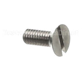 200101 Robot Coupe Screw Tf M4X10 St/Less