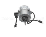 200317 Bally Evap Motor