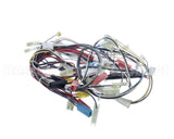 20062801 Amana Menumaster Harness-Oven