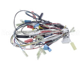 20062801 Amana Menumaster Harness-Oven