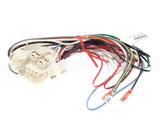 2009039 Manitowoc Ice Wiring Harness-Remote