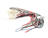 2009039 Manitowoc Ice Wiring Harness-Remote