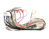 2009039 Manitowoc Ice Wiring Harness-Remote