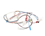 20116901 Amana Menumaster Harness-Oven 50