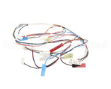 20116901 Amana Menumaster Harness-Oven 50