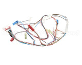 20116901 Amana Menumaster Harness-Oven 50