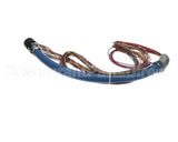 20138 Gaylord Uv Module/Ballast Wiring Harn